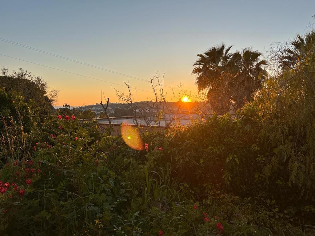 Casa Porto Palo Villa ภายนอก รูปภาพ